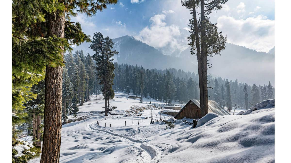 Travel Tips & Essential Info for Your Kashmir 4 Day Itinerary